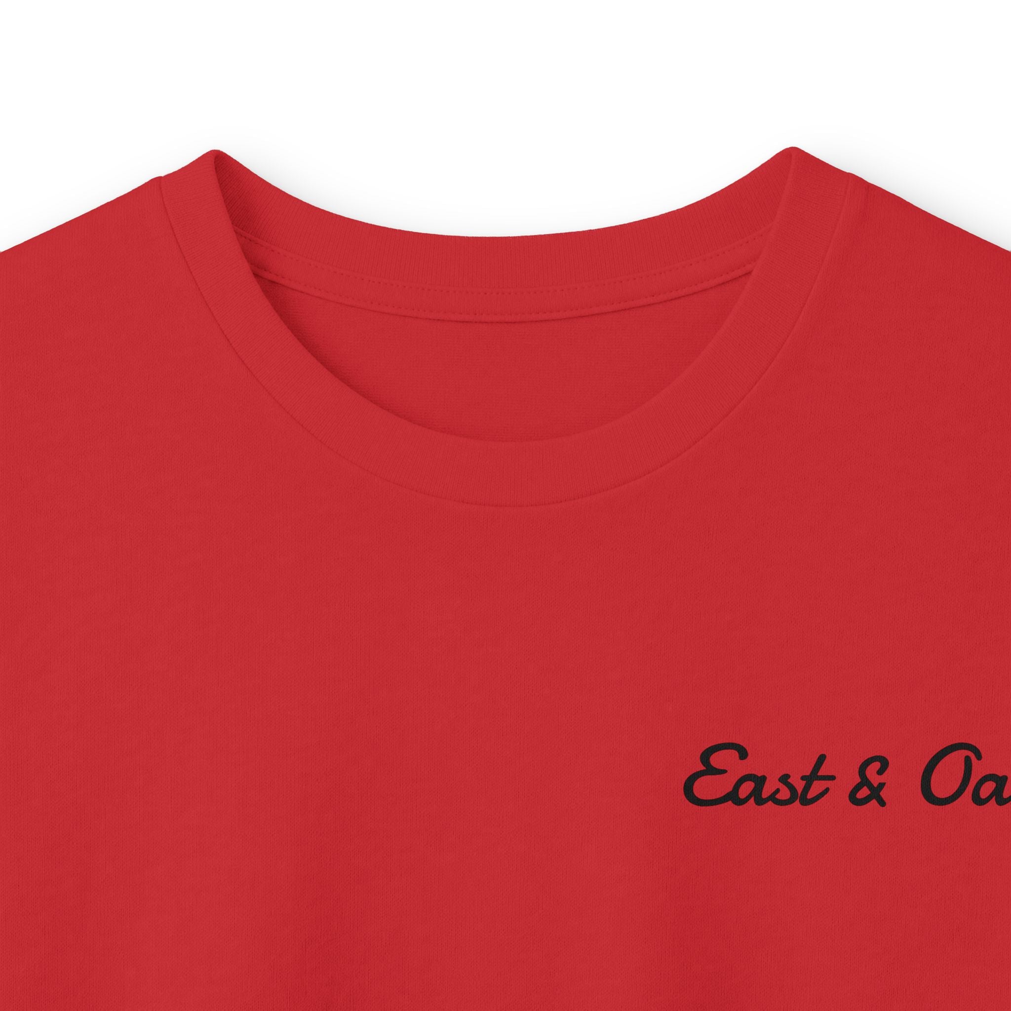 Unisex Ultra Cotton Long Sleeve Tee